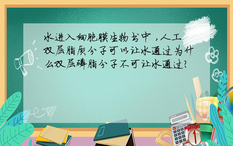 水进入细胞膜生物书中 ,人工双层脂质分子可以让水通过为什么双层磷脂分子不可让水通过?