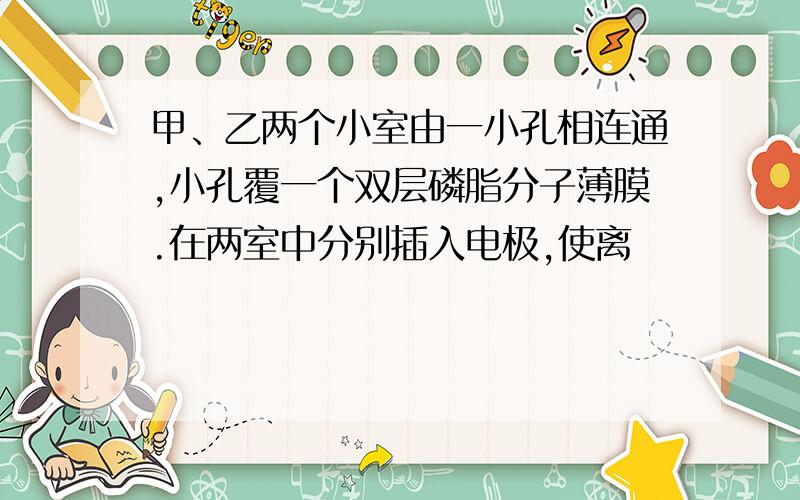 甲、乙两个小室由一小孔相连通,小孔覆一个双层磷脂分子薄膜.在两室中分别插入电极,使离