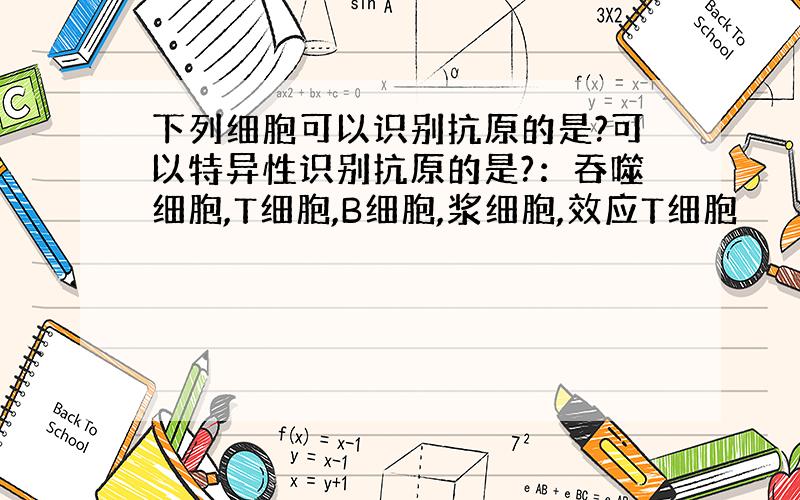 下列细胞可以识别抗原的是?可以特异性识别抗原的是?：吞噬细胞,T细胞,B细胞,浆细胞,效应T细胞