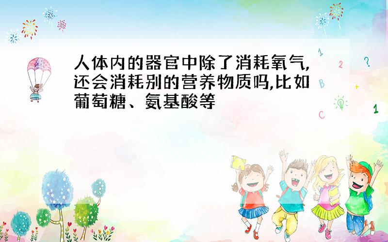 人体内的器官中除了消耗氧气,还会消耗别的营养物质吗,比如葡萄糖、氨基酸等