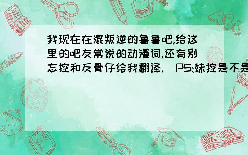 我现在在混叛逆的鲁鲁吧,给这里的吧友常说的动漫词,还有别忘控和反骨仔给我翻译.（PS:妹控是不是对年龄小的有嗜好?自己理