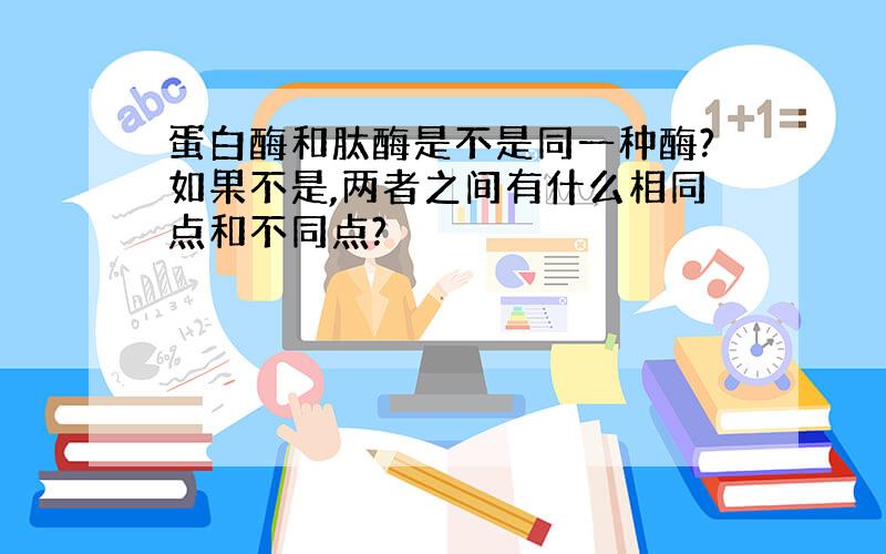 蛋白酶和肽酶是不是同一种酶?如果不是,两者之间有什么相同点和不同点?