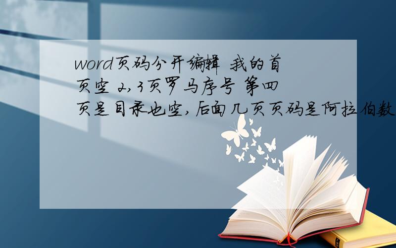 word页码分开编辑 我的首页空 2,3页罗马序号 第四页是目录也空,后面几页页码是阿拉伯数字……请问怎么设