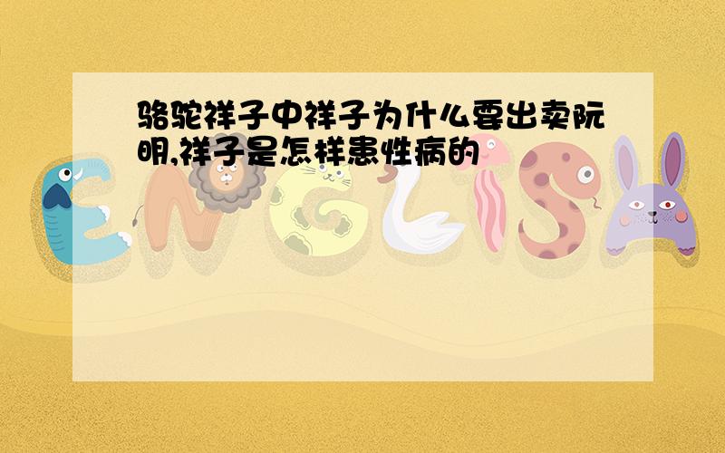 骆驼祥子中祥子为什么要出卖阮明,祥子是怎样患性病的