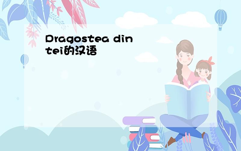 Dragostea din tei的汉语