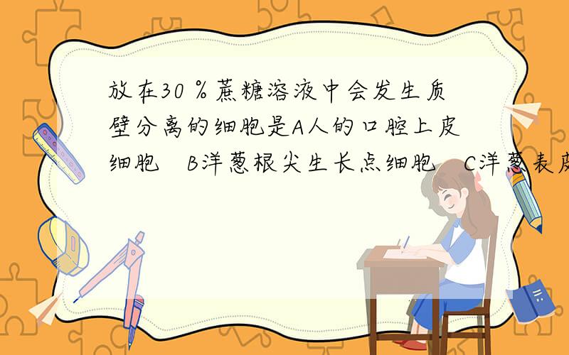 放在30％蔗糖溶液中会发生质壁分离的细胞是A人的口腔上皮细胞　B洋葱根尖生长点细胞　C洋葱表皮细胞