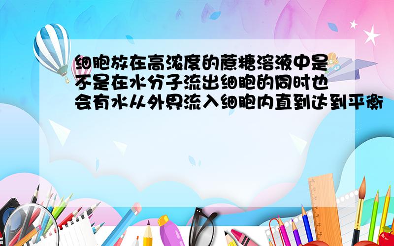 细胞放在高浓度的蔗糖溶液中是不是在水分子流出细胞的同时也会有水从外界流入细胞内直到达到平衡