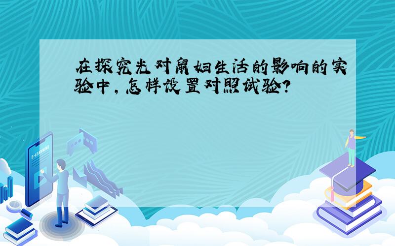 在探究光对鼠妇生活的影响的实验中,怎样设置对照试验?