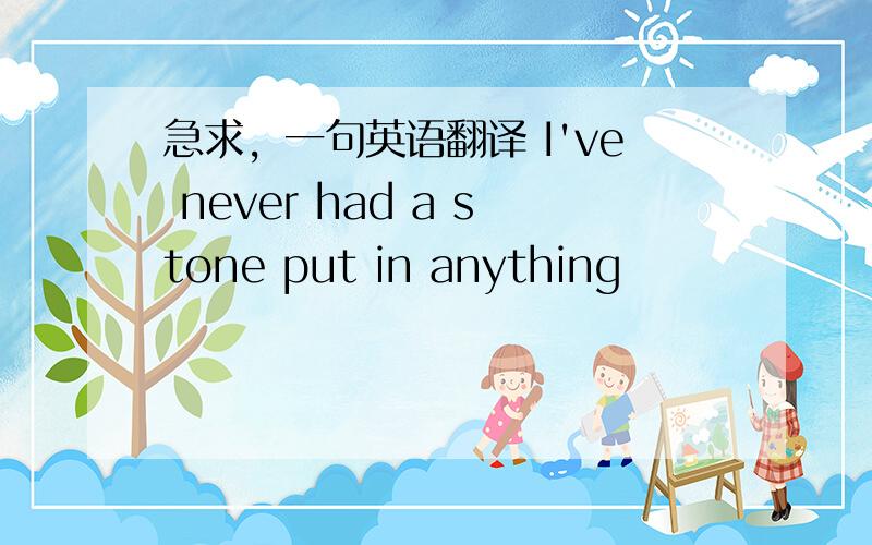 急求，一句英语翻译 I've never had a stone put in anything