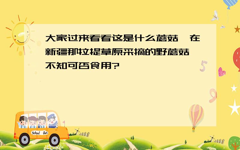 大家过来看看这是什么蘑菇,在新疆那拉提草原采摘的野蘑菇,不知可否食用?