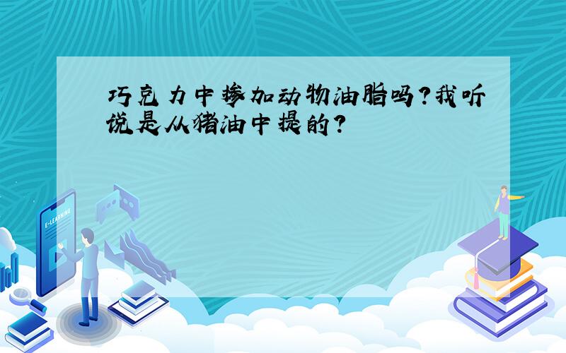 巧克力中掺加动物油脂吗?我听说是从猪油中提的?