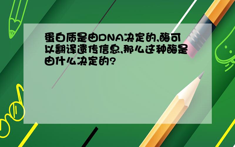 蛋白质是由DNA决定的,酶可以翻译遗传信息,那么这种酶是由什么决定的?