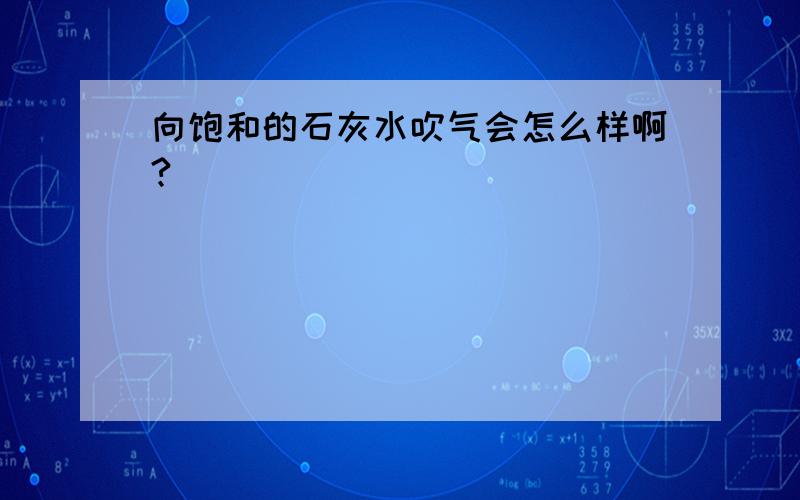 向饱和的石灰水吹气会怎么样啊?