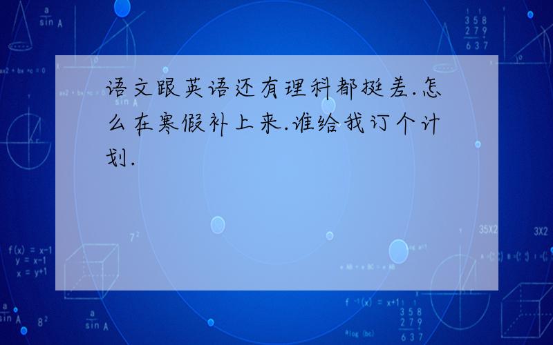 语文跟英语还有理科都挺差.怎么在寒假补上来.谁给我订个计划.