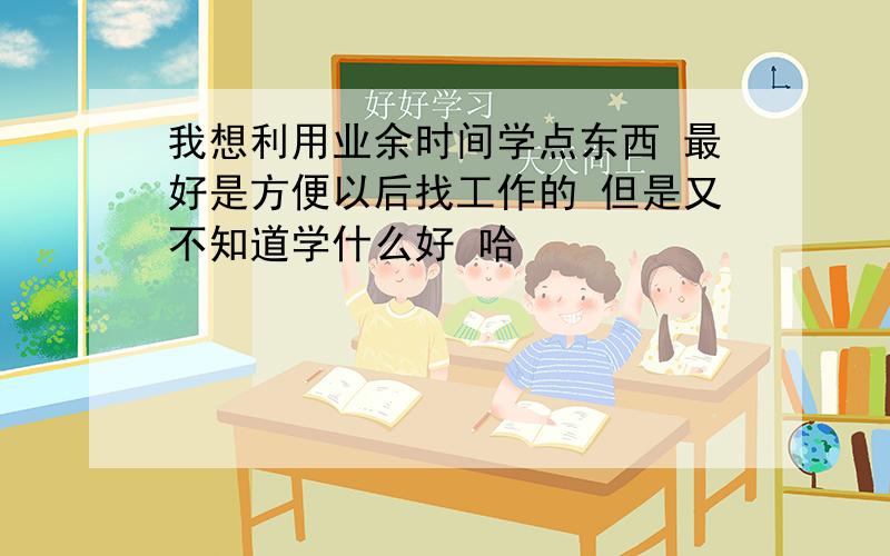 我想利用业余时间学点东西 最好是方便以后找工作的 但是又不知道学什么好 哈