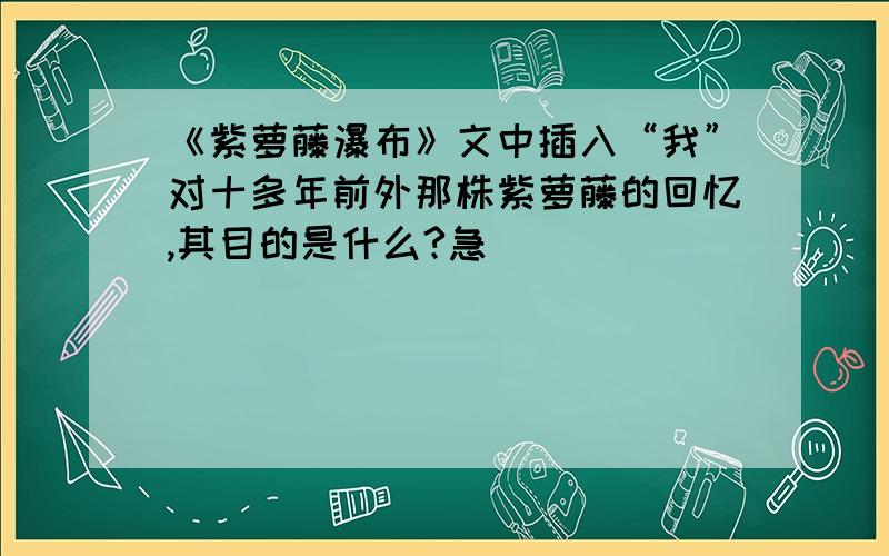 《紫萝藤瀑布》文中插入“我”对十多年前外那株紫萝藤的回忆,其目的是什么?急