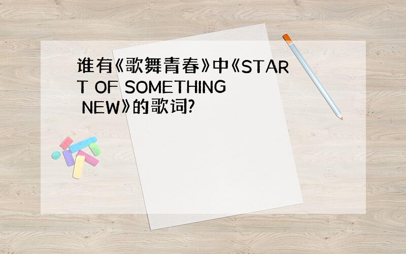 谁有《歌舞青春》中《START OF SOMETHING NEW》的歌词?