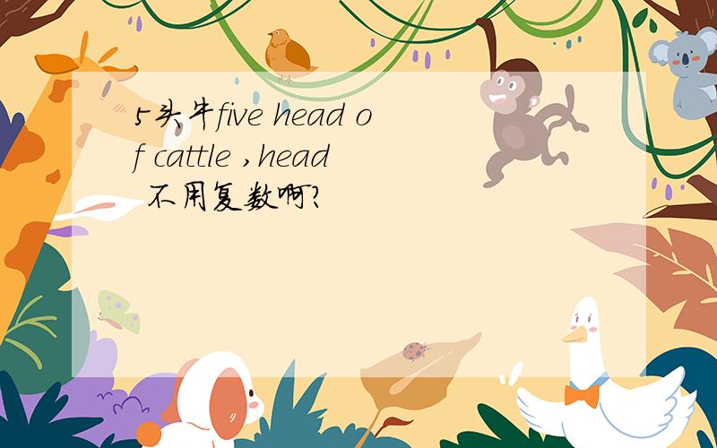 5头牛five head of cattle ,head 不用复数啊?