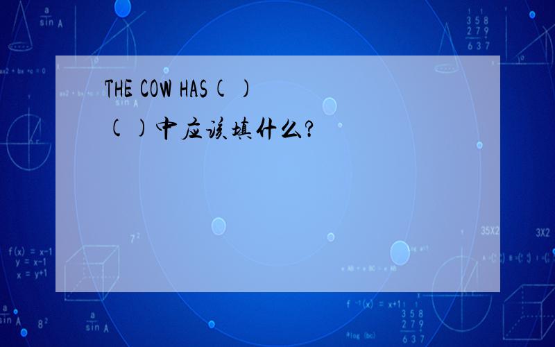 THE COW HAS() ()中应该填什么?