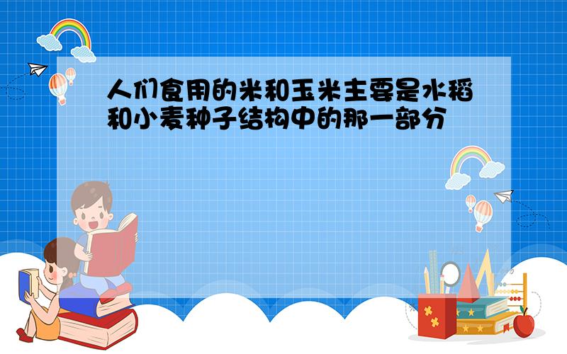 人们食用的米和玉米主要是水稻和小麦种子结构中的那一部分