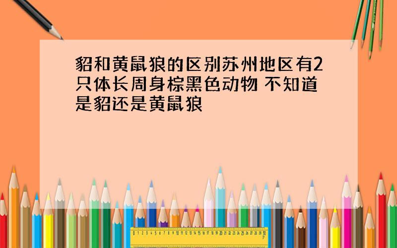 貂和黄鼠狼的区别苏州地区有2只体长周身棕黑色动物 不知道是貂还是黄鼠狼