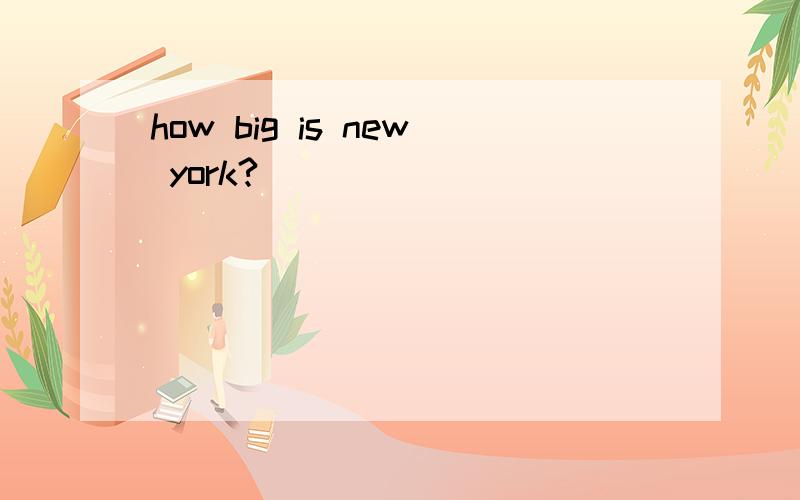 how big is new york?