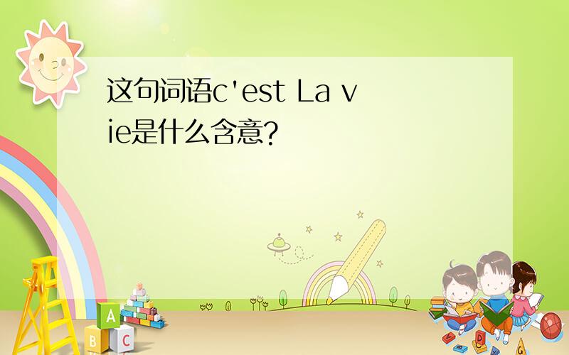 这句词语c'est La vie是什么含意?