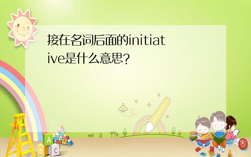 接在名词后面的initiative是什么意思?