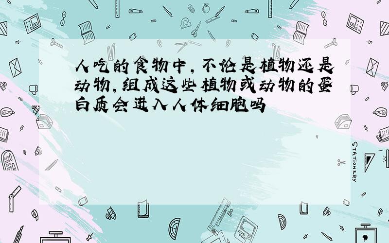 人吃的食物中,不论是植物还是动物,组成这些植物或动物的蛋白质会进入人体细胞吗