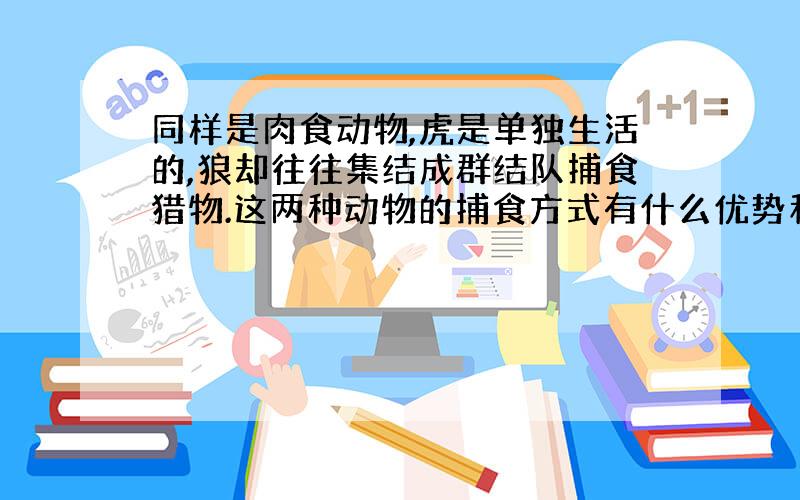 同样是肉食动物,虎是单独生活的,狼却往往集结成群结队捕食猎物.这两种动物的捕食方式有什么优势和不足?