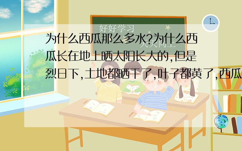 为什么西瓜那么多水?为什么西瓜长在地上晒太阳长大的,但是烈日下,土地都晒干了,叶子都黄了,西瓜皮都变色了,可西瓜里面还是