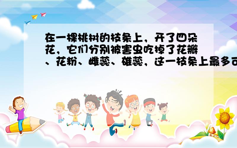 在一棵桃树的枝条上，开了四朵花，它们分别被害虫吃掉了花瓣、花粉、雌蕊、雄蕊，这一枝条上最多可以结几个桃子？（　　）