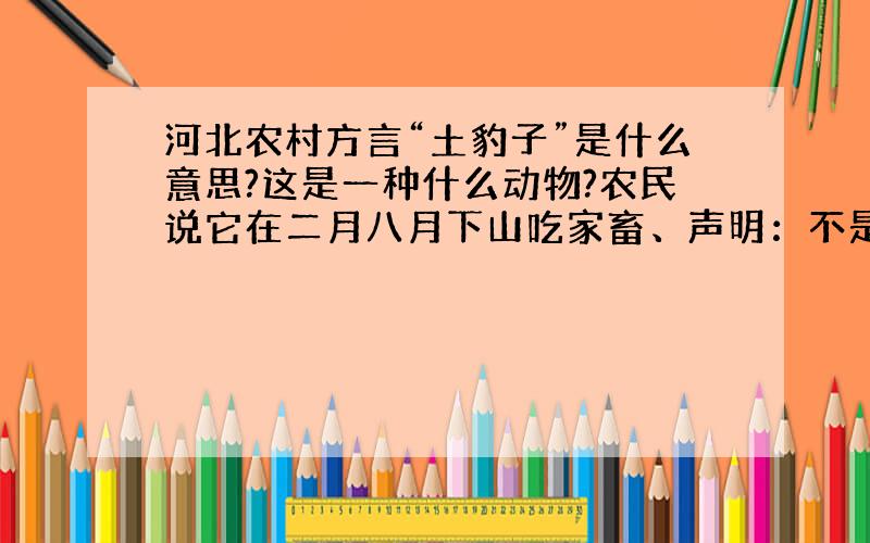 河北农村方言“土豹子”是什么意思?这是一种什么动物?农民说它在二月八月下山吃家畜、声明：不是土人、山炮的意思!