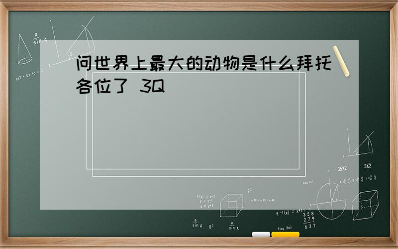 问世界上最大的动物是什么拜托各位了 3Q