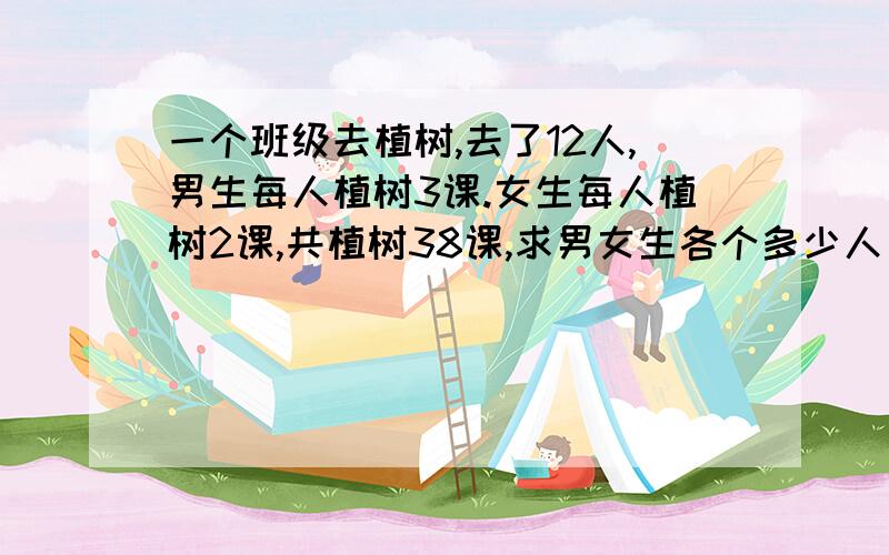 一个班级去植树,去了12人,男生每人植树3课.女生每人植树2课,共植树38课,求男女生各个多少人