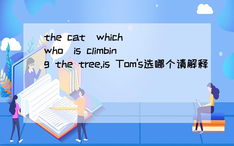 the cat(which who)is climbing the tree,is Tom's选哪个请解释