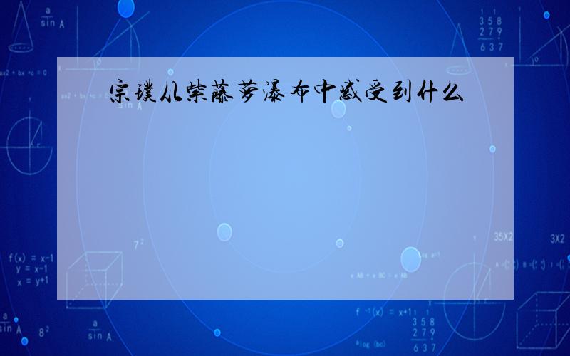 宗璞从紫藤萝瀑布中感受到什么