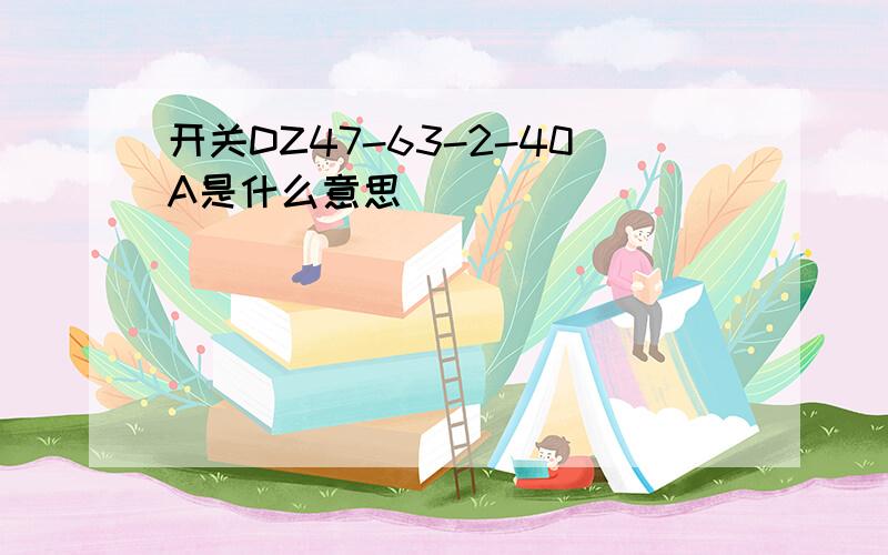 开关DZ47-63-2-40A是什么意思