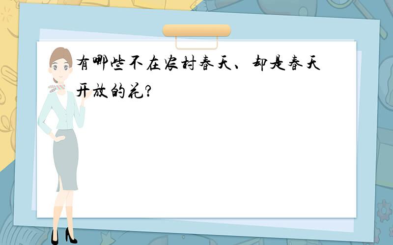 有哪些不在农村春天、却是春天开放的花?