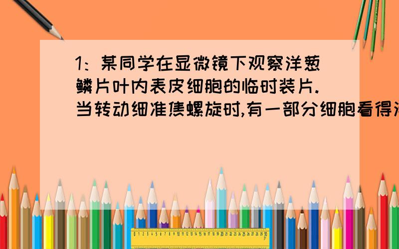 1：某同学在显微镜下观察洋葱鳞片叶内表皮细胞的临时装片.当转动细准焦螺旋时,有一部分细胞看得清晰,另一部分细胞较模糊.你