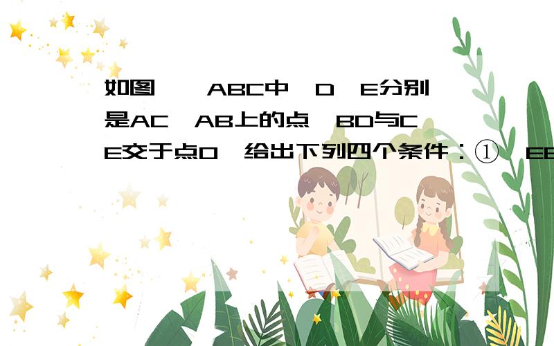 如图,△ABC中,D、E分别是AC,AB上的点,BD与CE交于点O,给出下列四个条件：①∠EBO∠DCO②∠BEO=∠O