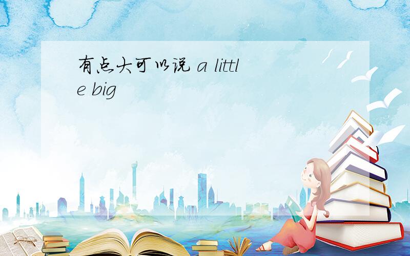 有点大可以说 a little big