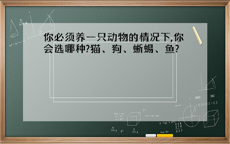 你必须养一只动物的情况下,你会选哪种?猫、狗、蜥蜴、鱼?