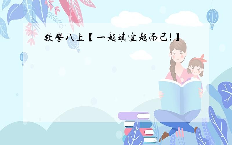 数学八上【一题填空题而已!】