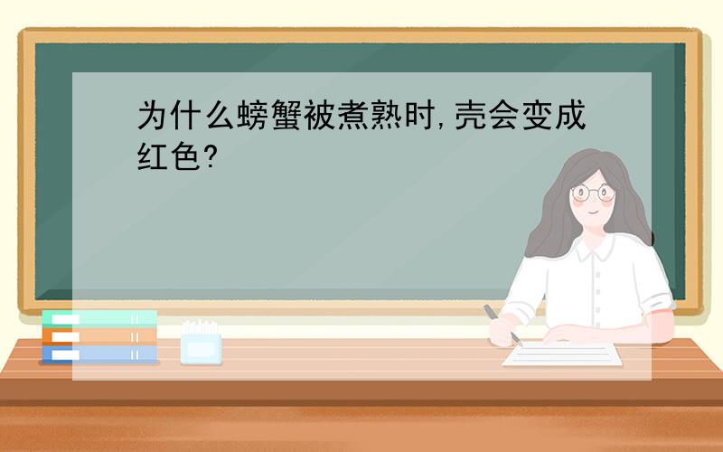 为什么螃蟹被煮熟时,壳会变成红色?