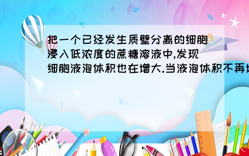 把一个已经发生质壁分离的细胞浸入低浓度的蔗糖溶液中,发现细胞液泡体积也在增大.当液泡体积不再增大时,细胞液浓度是否一定和