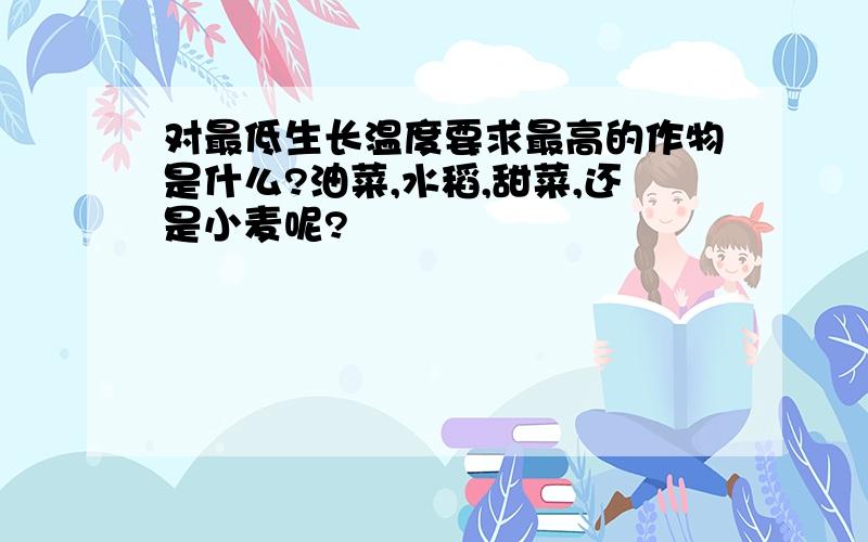 对最低生长温度要求最高的作物是什么?油菜,水稻,甜菜,还是小麦呢?