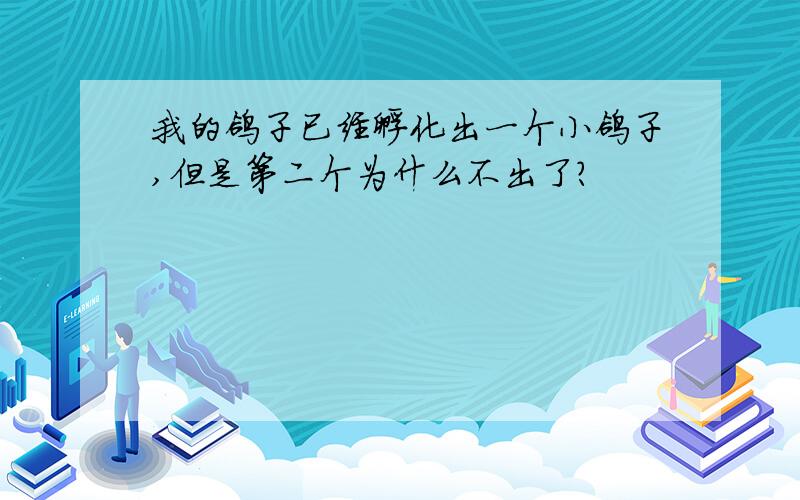 我的鸽子已经孵化出一个小鸽子,但是第二个为什么不出了?