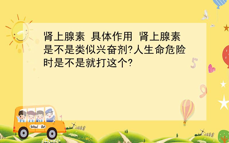 肾上腺素 具体作用 肾上腺素是不是类似兴奋剂?人生命危险时是不是就打这个?