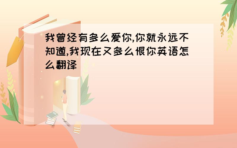 我曾经有多么爱你,你就永远不知道,我现在又多么恨你英语怎么翻译